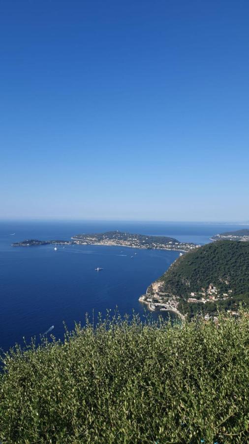 Villa D'Arte Mortola Superiore Экстерьер фото