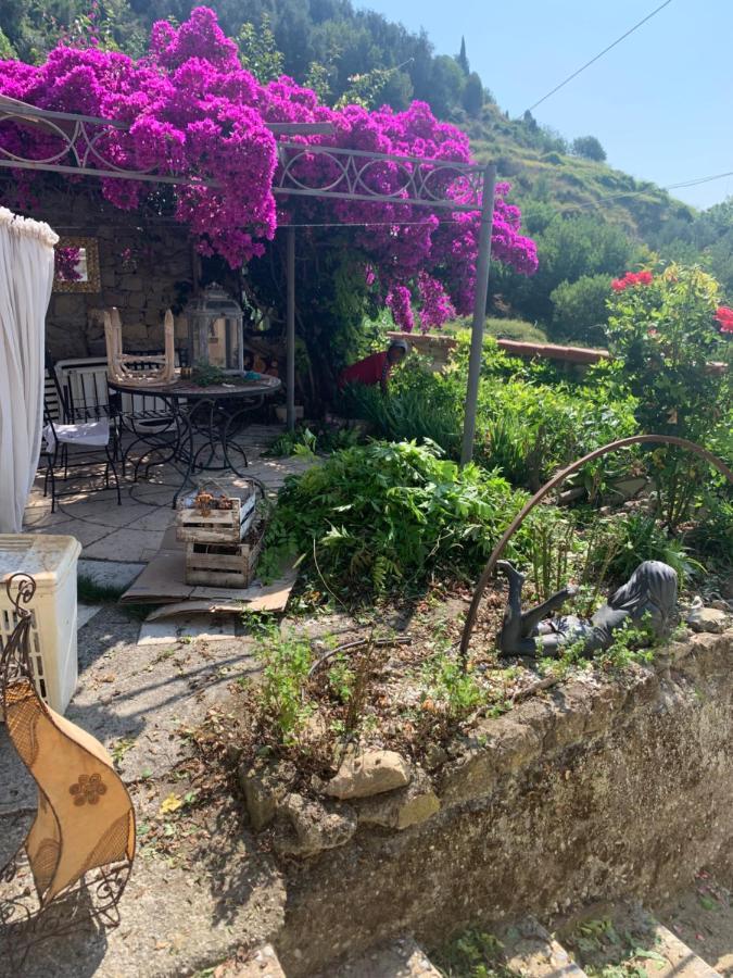 Villa D'Arte Mortola Superiore Экстерьер фото