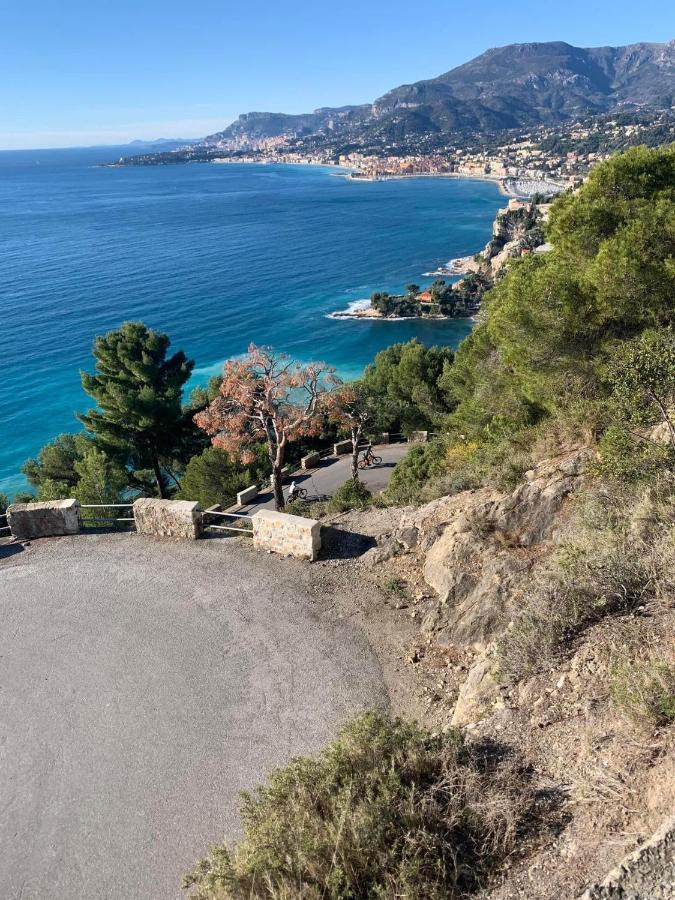 Villa D'Arte Mortola Superiore Экстерьер фото